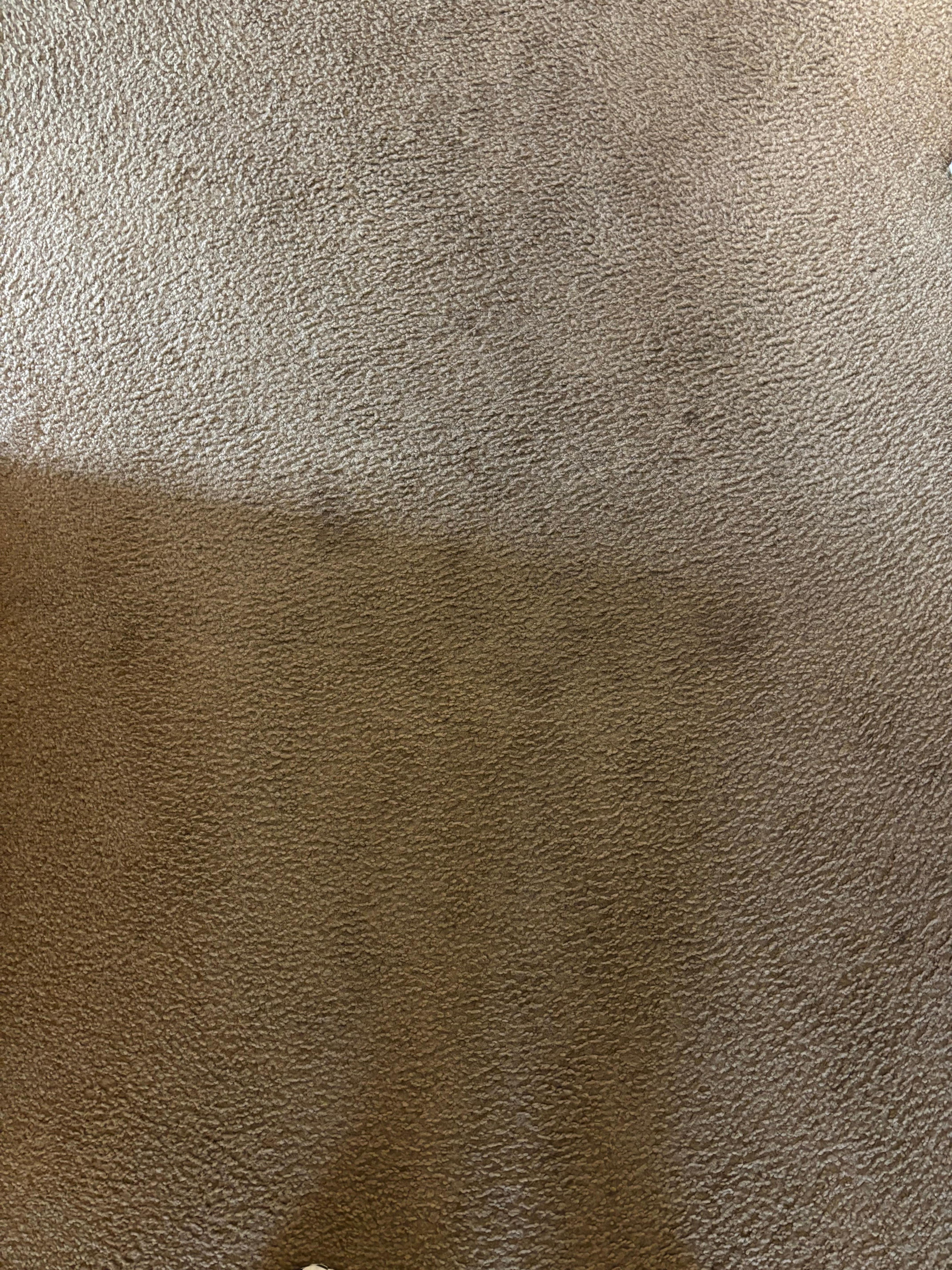 Filthy and old carpet all over the apartment 