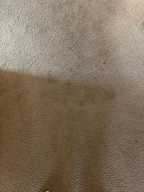 Filthy and old carpet all over the apartment