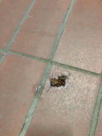 Afuera de mi habitación que asco