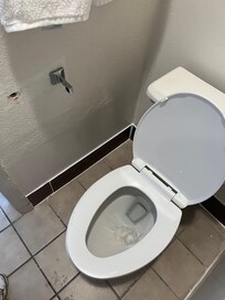 No toilet roll holder