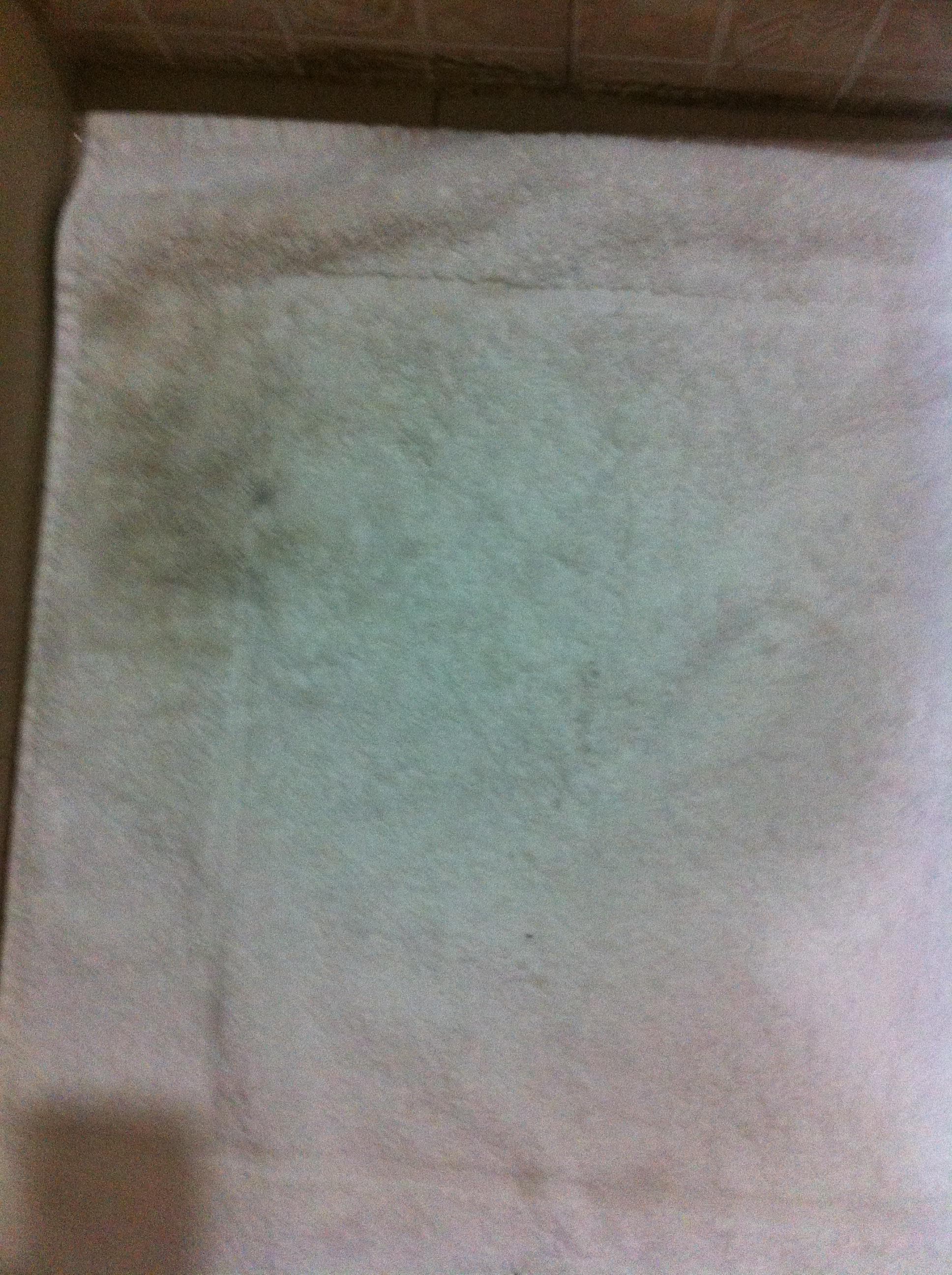 Used shampoo& soap in shower
