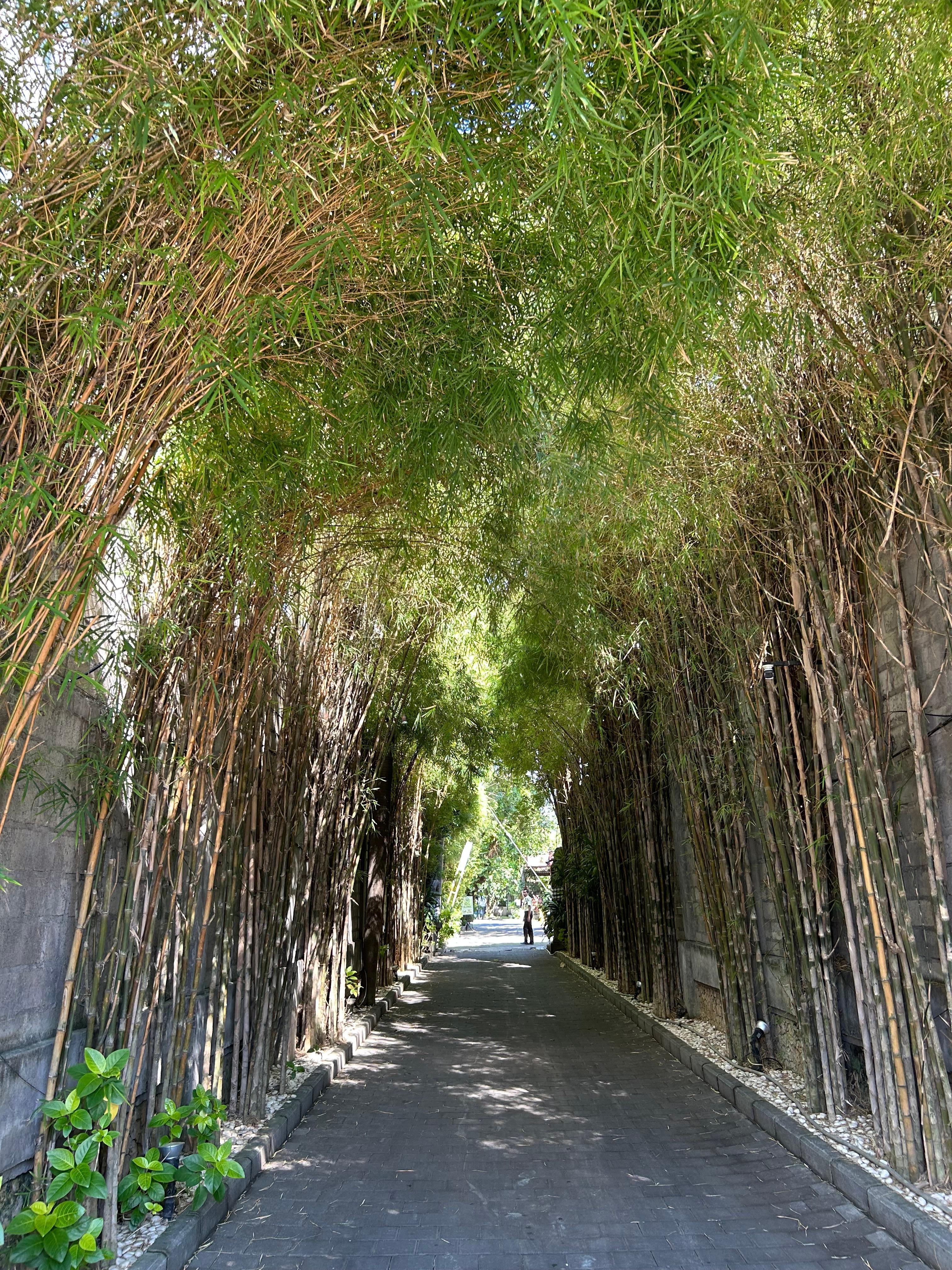 Walkway up to the hotel