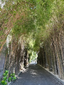 Walkway up to the hotel