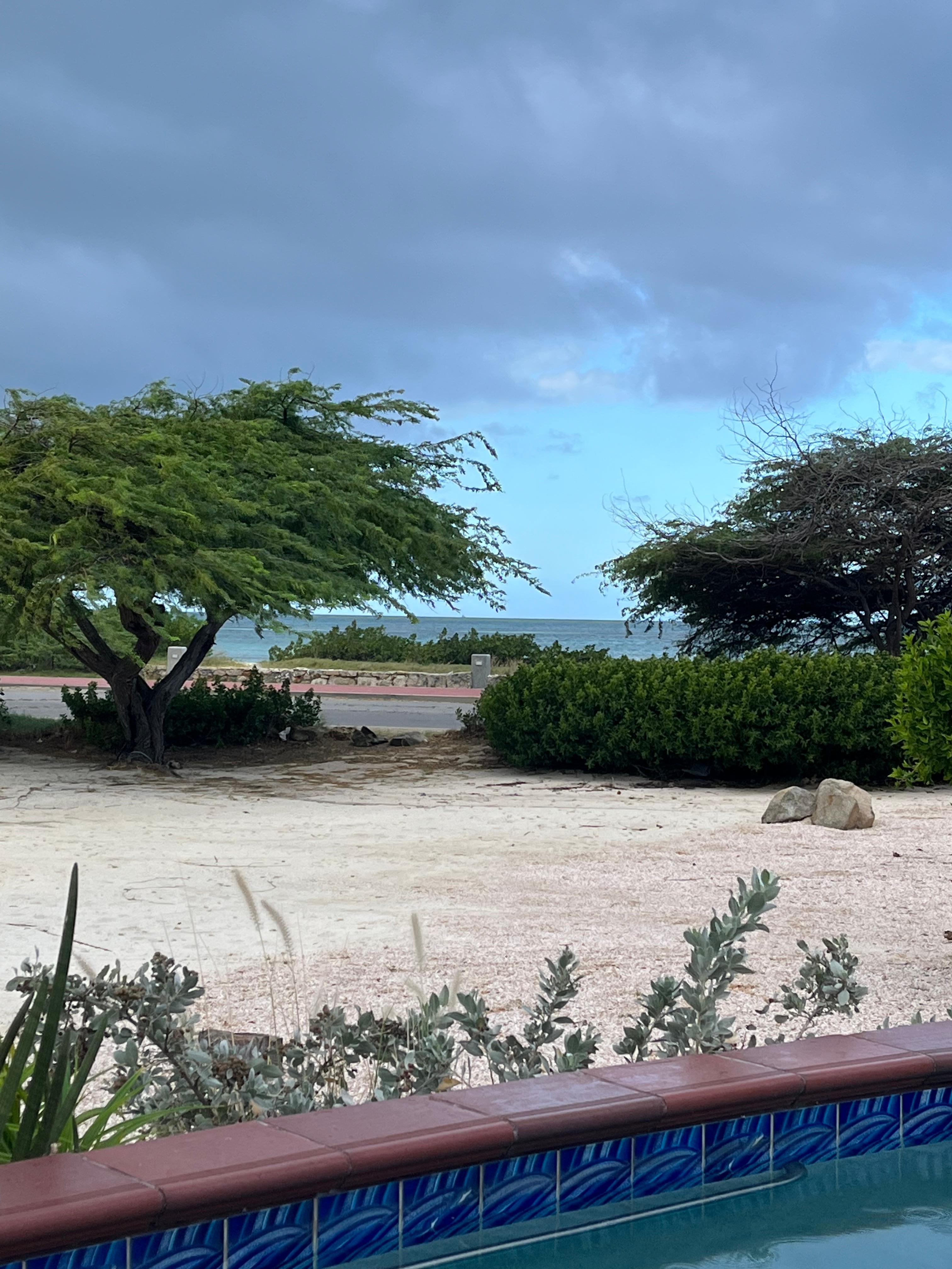 View from the pool