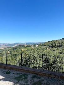 The view