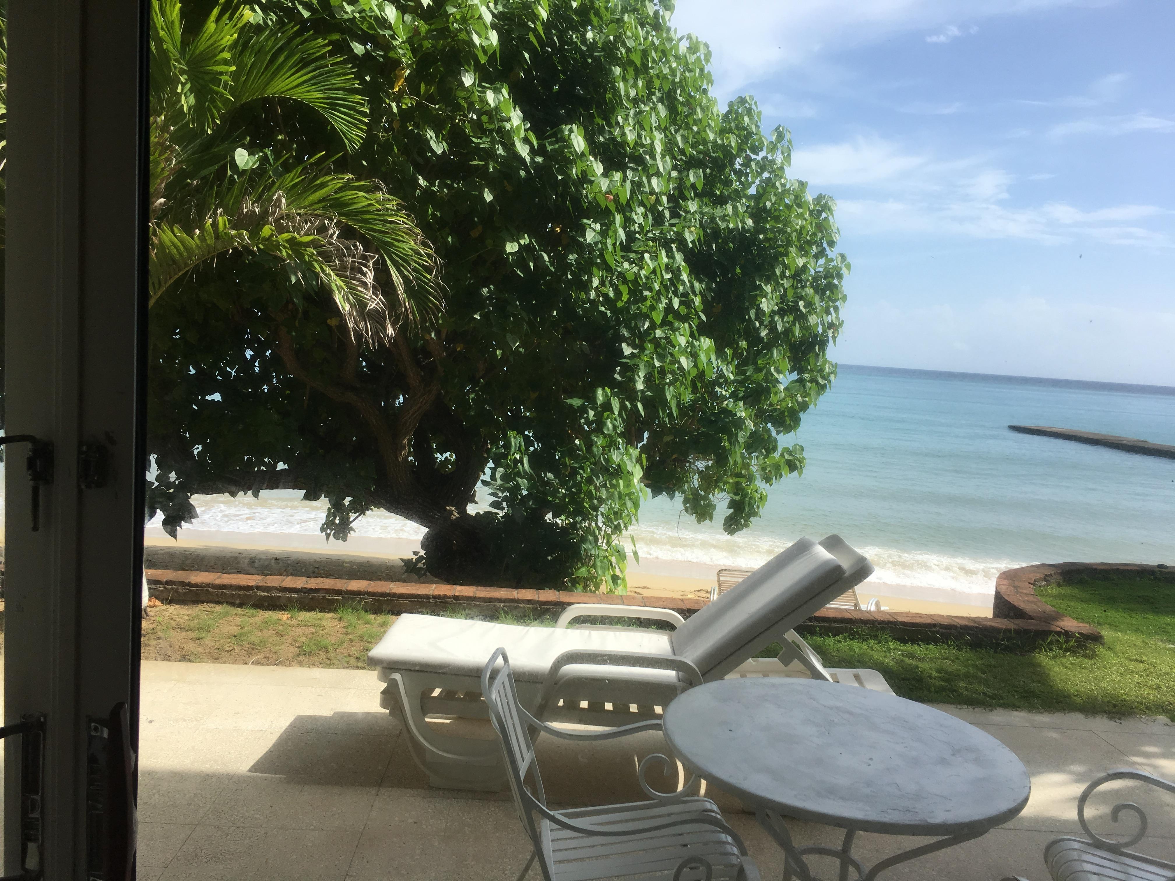 View of the patio