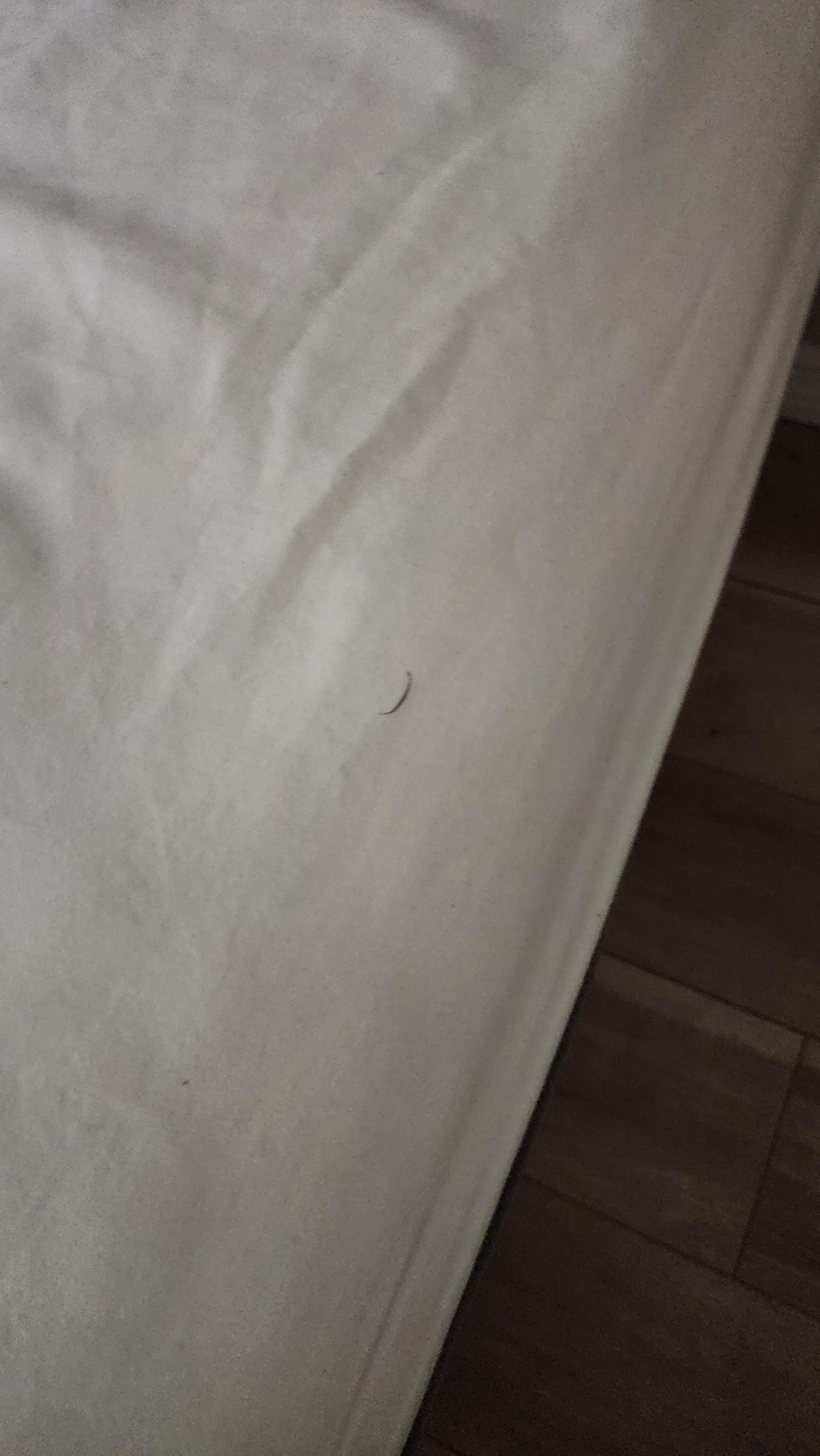 Hair on the sheets