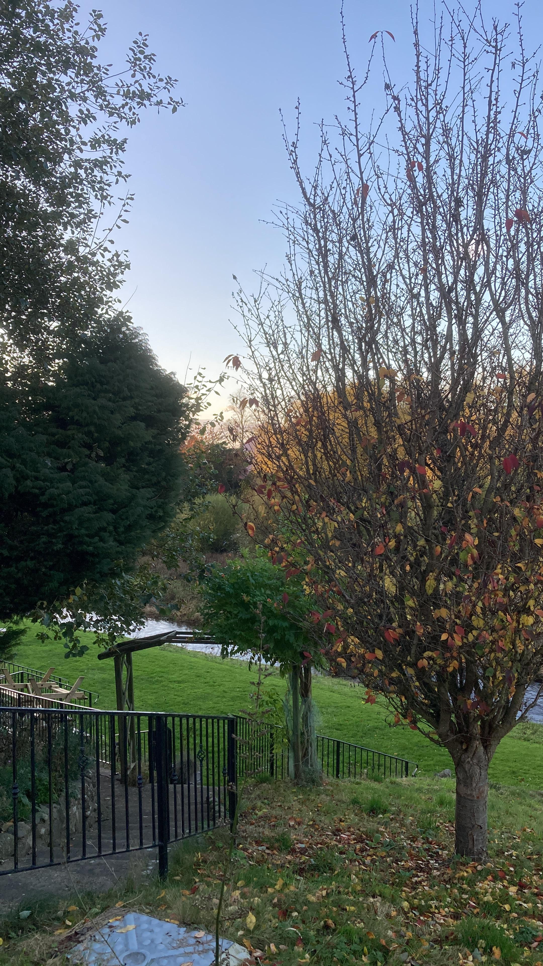 River / garden view from room