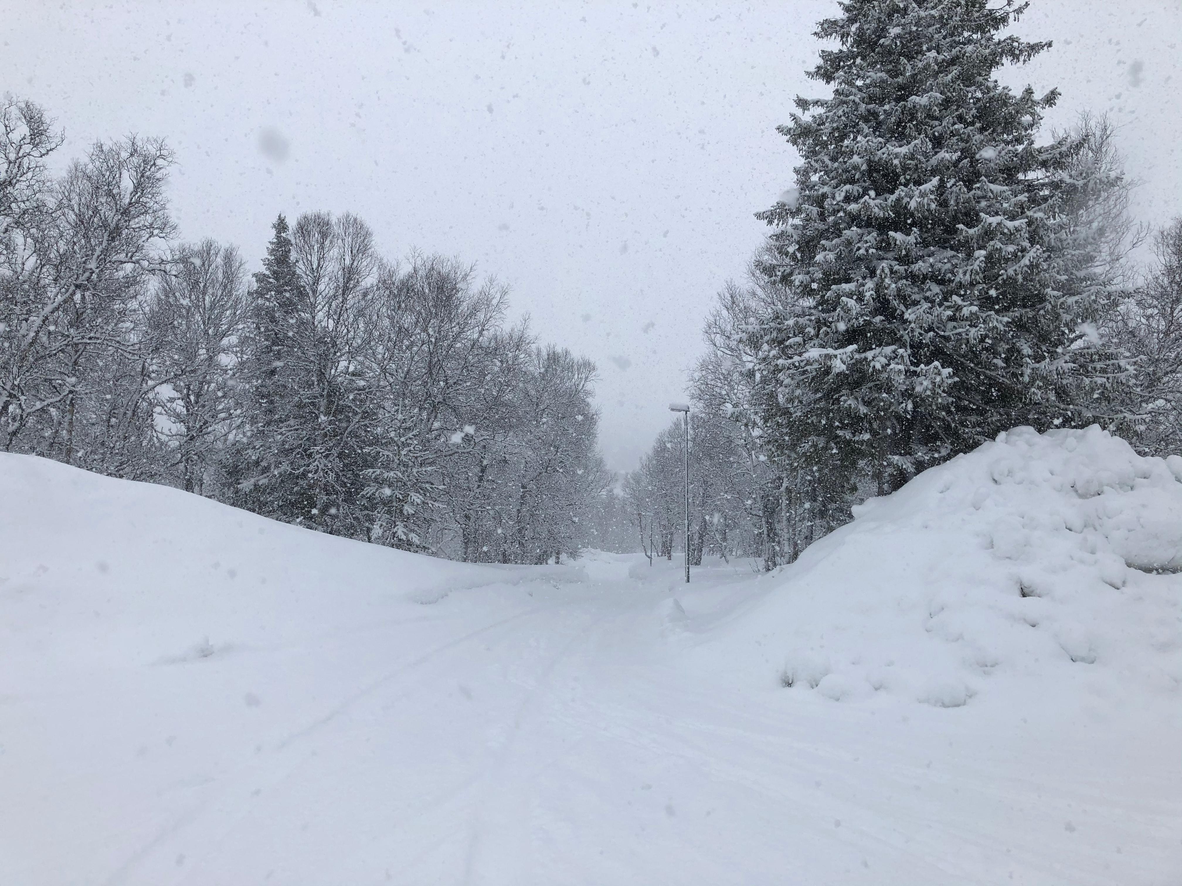Snø i bøtter og lass