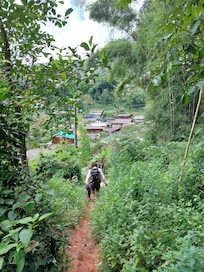 On the way to have Coffee in the village