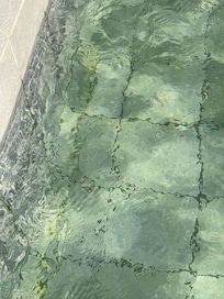 Piscine privative eau verte