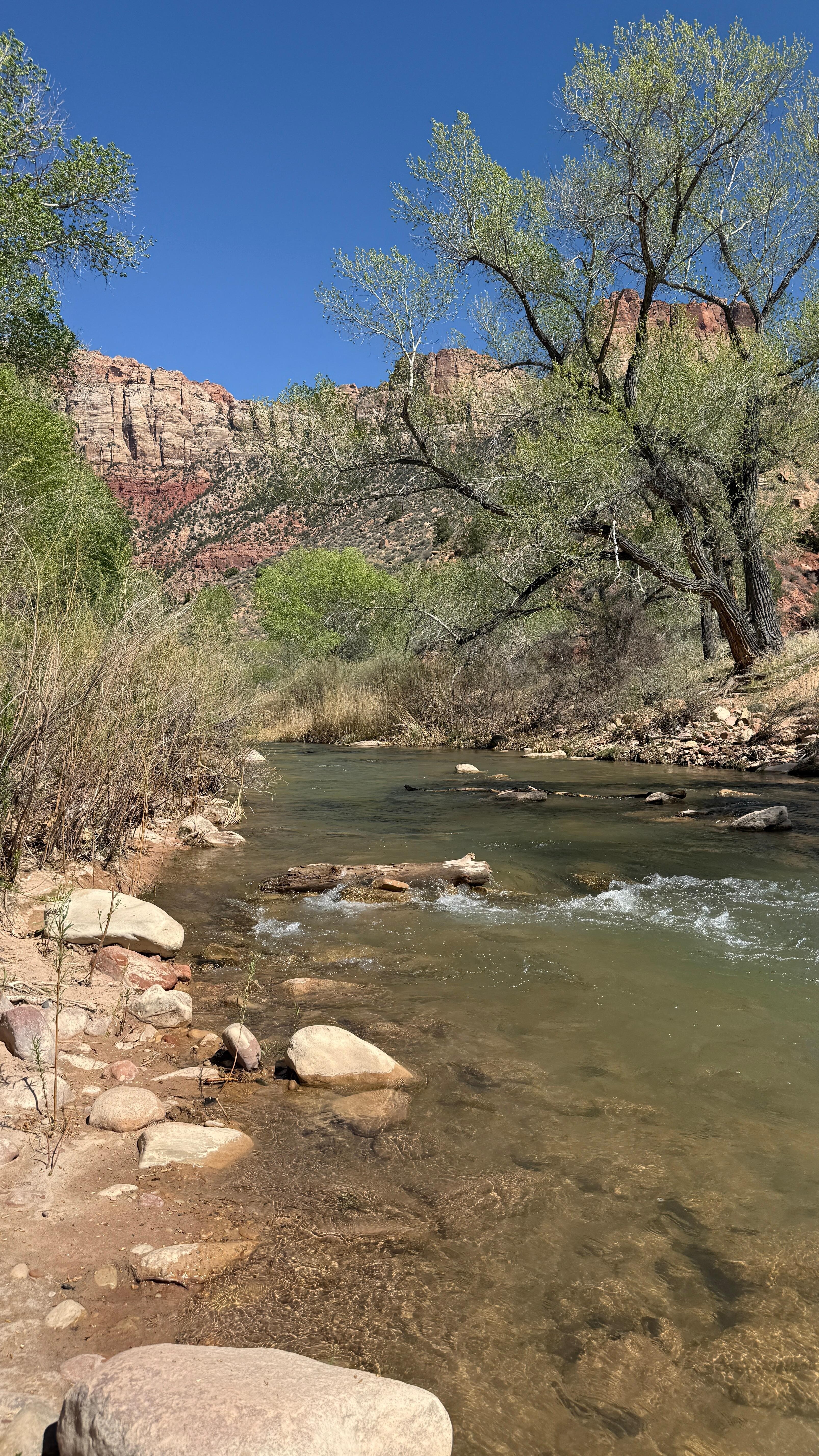 Virgin River right outside our room. Thereâs a cool picnic area they set up.