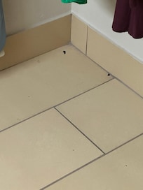 Dirt in the bathroom