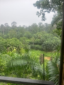 View from my bedroom