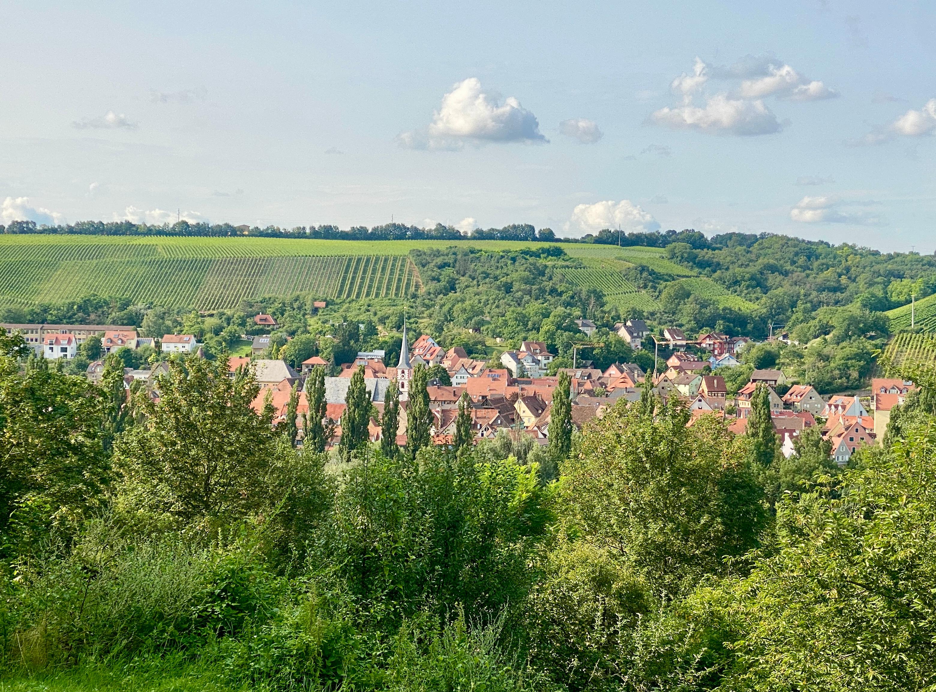 Blick vom Hotel auf Frickenhausen