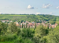 Blick vom Hotel auf Frickenhausen