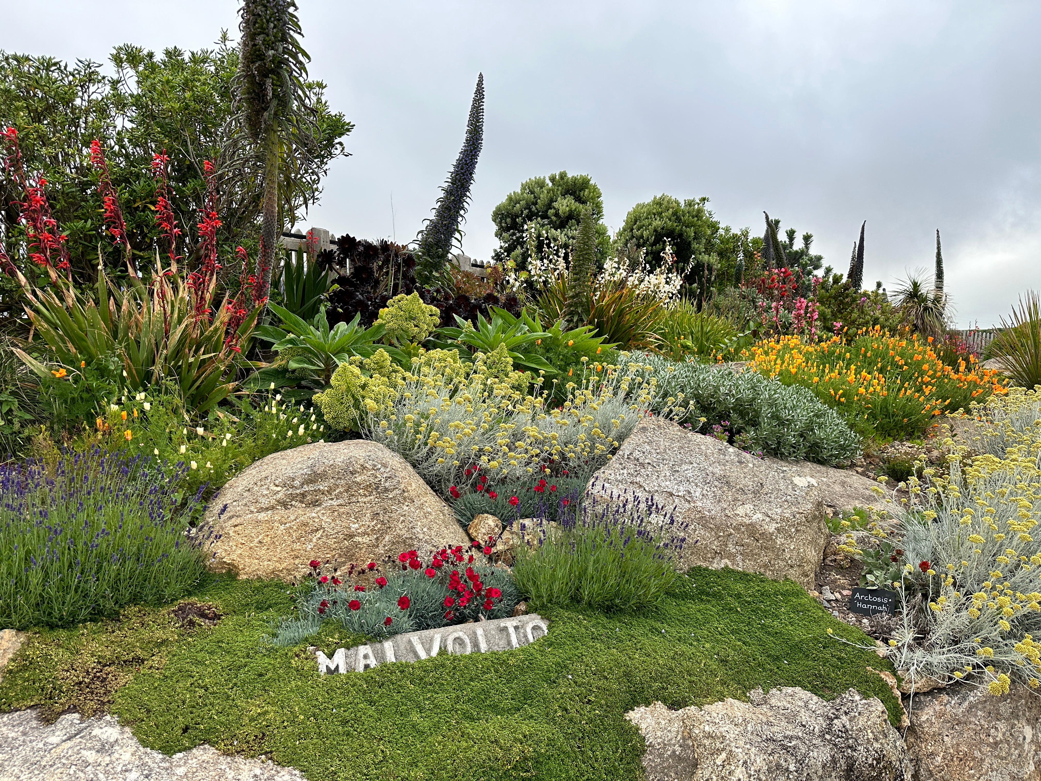 Garden at the Minack Theatre.