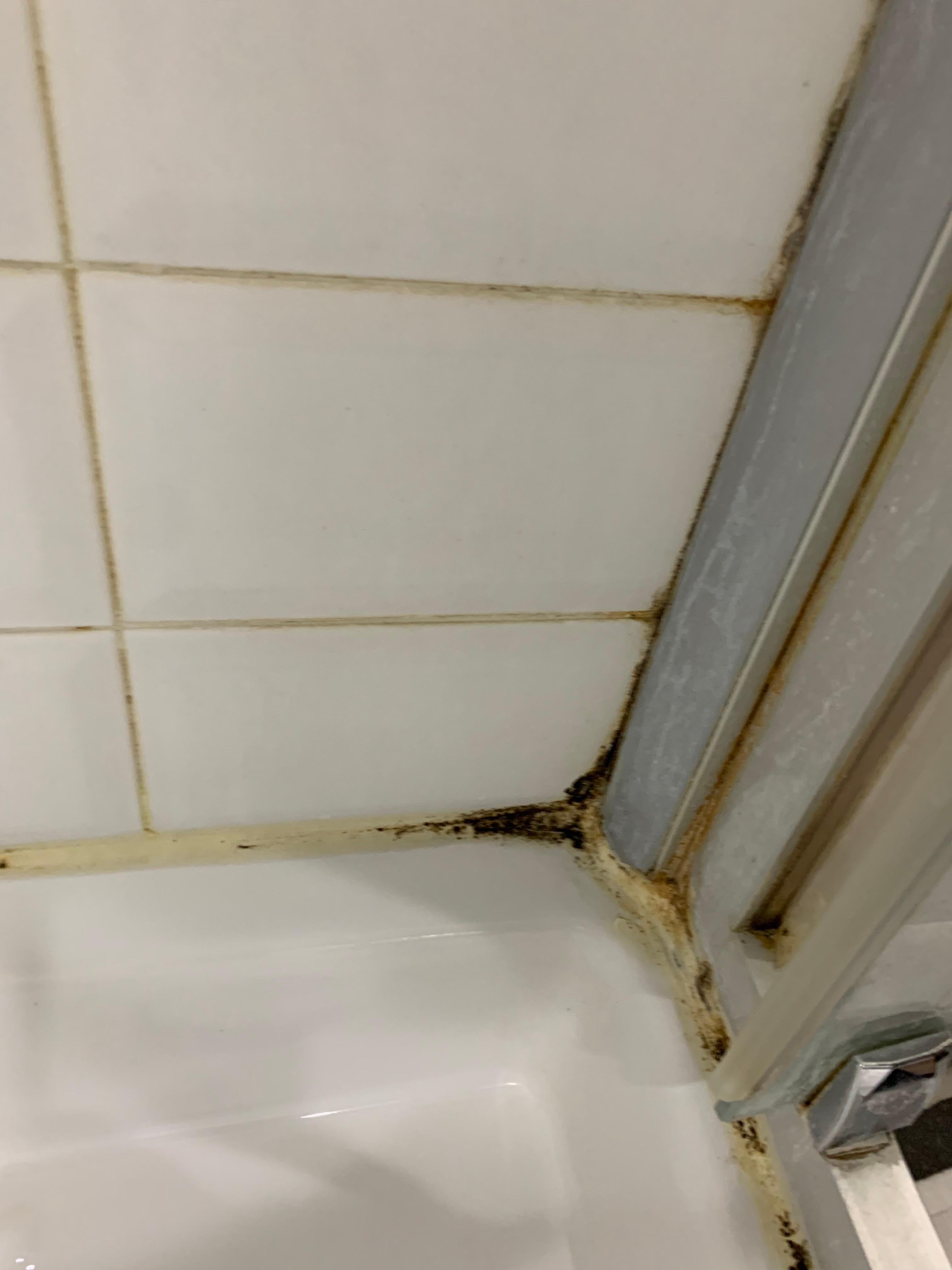 Moldy grout lines