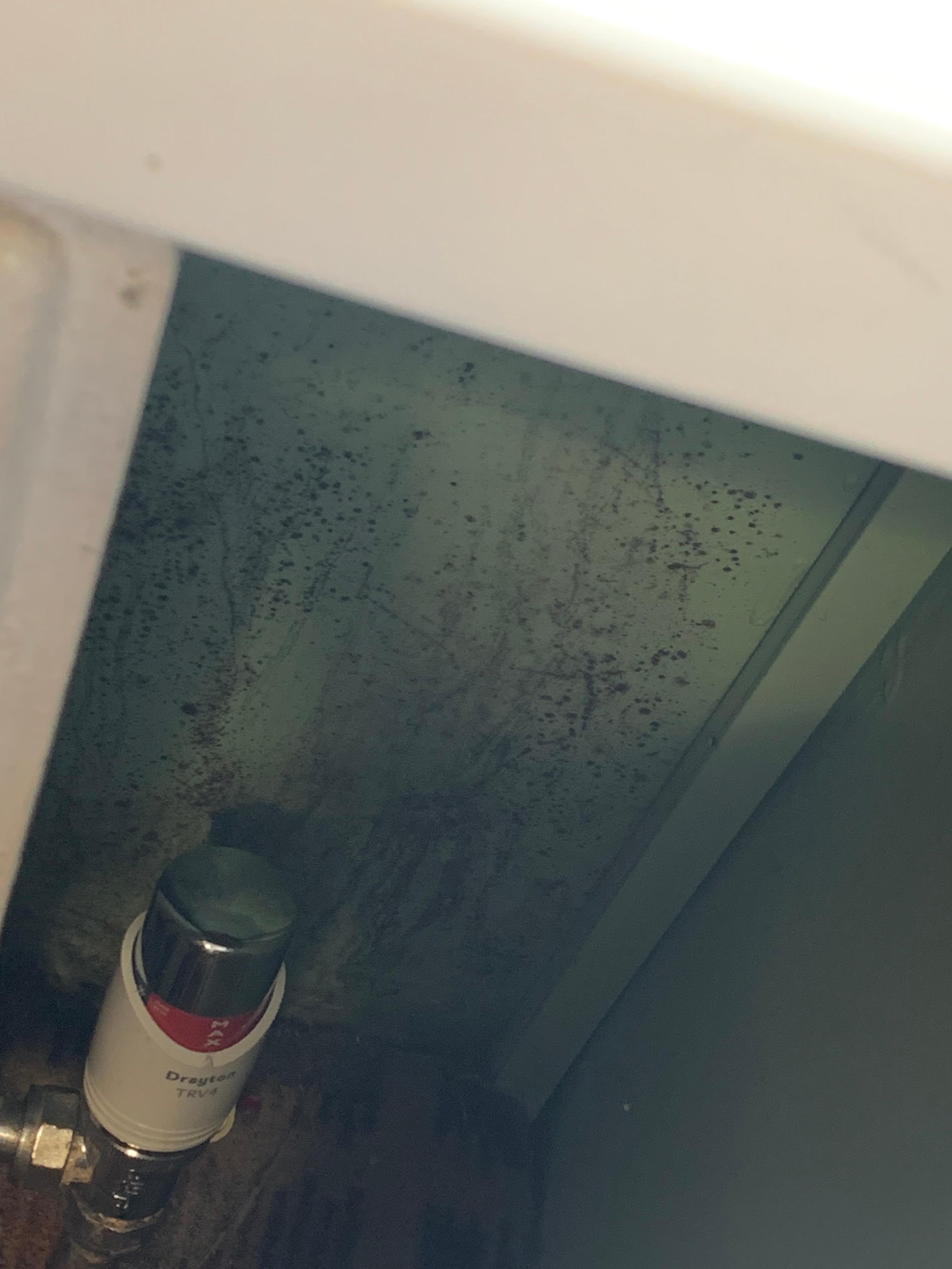 Mould