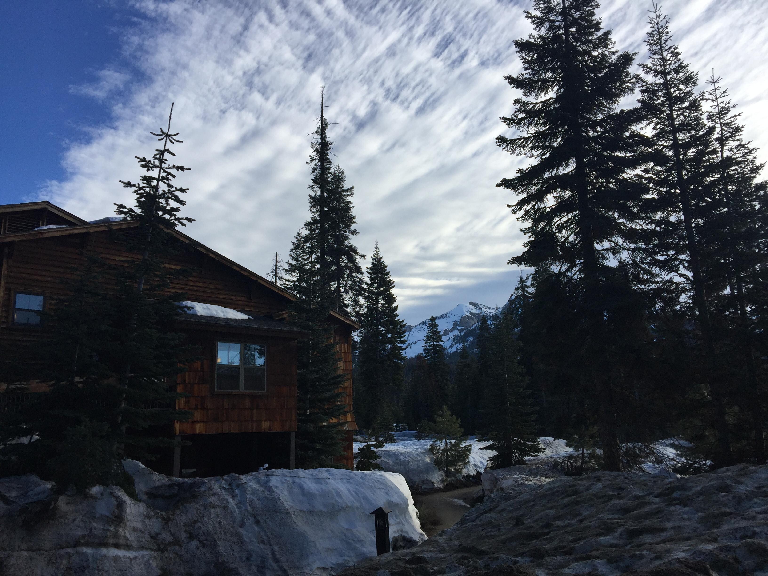 Wuksachi Lodge in Sequoia National Park Best Rates & Deals on Orbitz