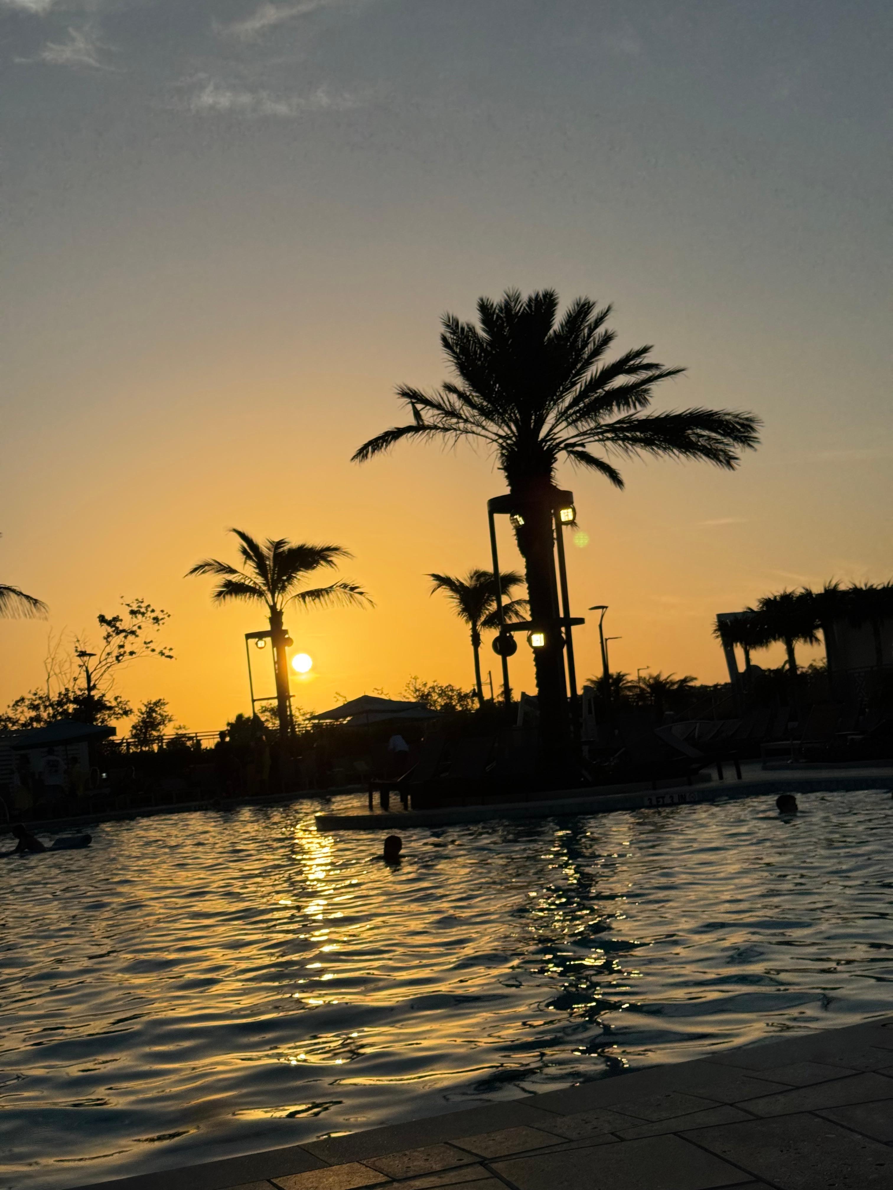 Main pool at sunset