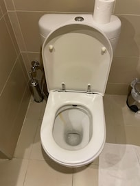 toilet was dirty