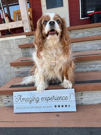 Our sweet girl, Maddie, also enjoyed her stay!