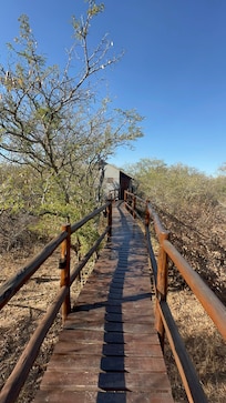 Perfect little lodges in the Bush