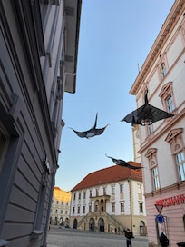 Olomouc er en vakker og kul by -mange hyggelige kafeer og restauranter.