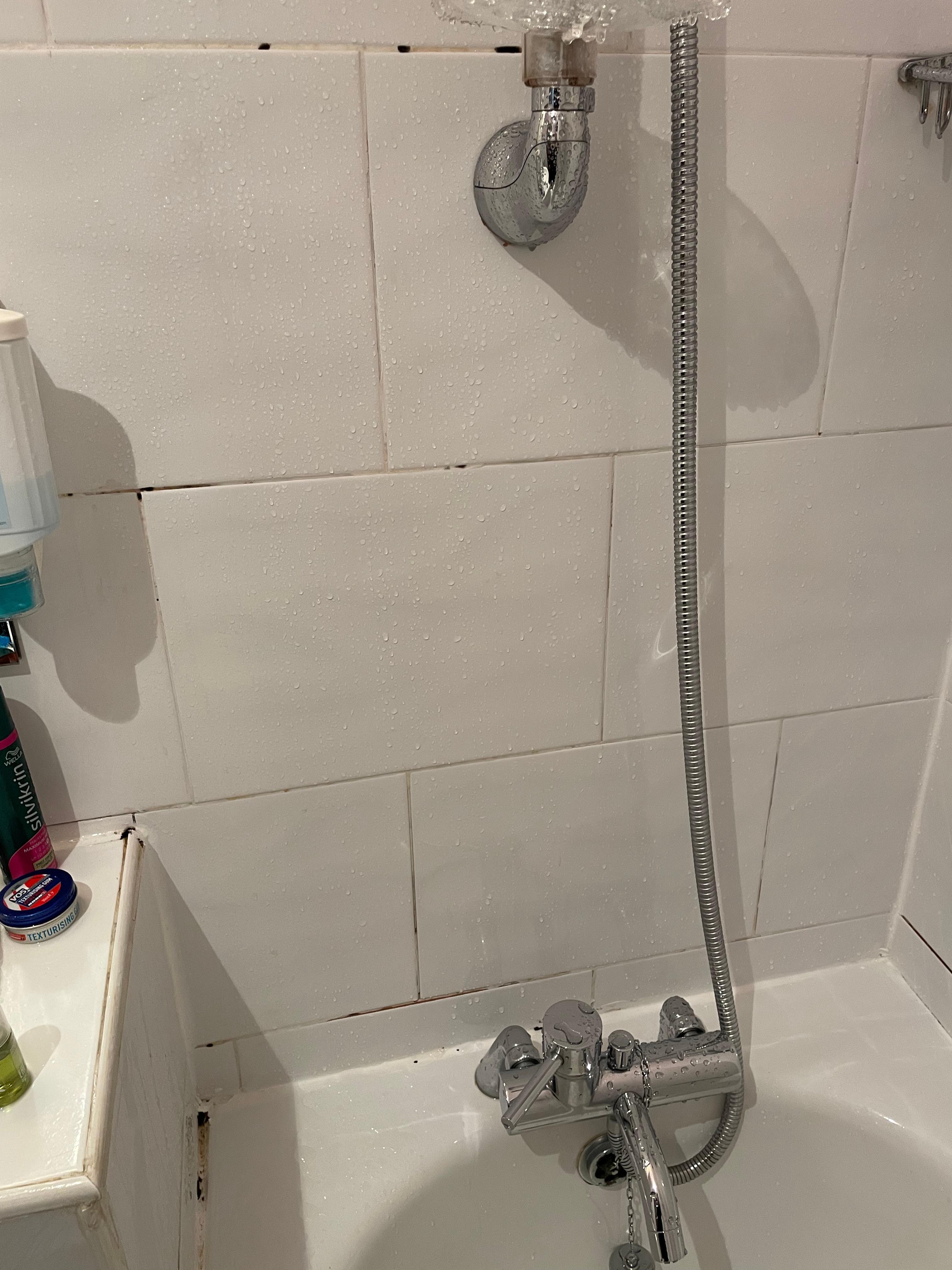 Mildew on tiles