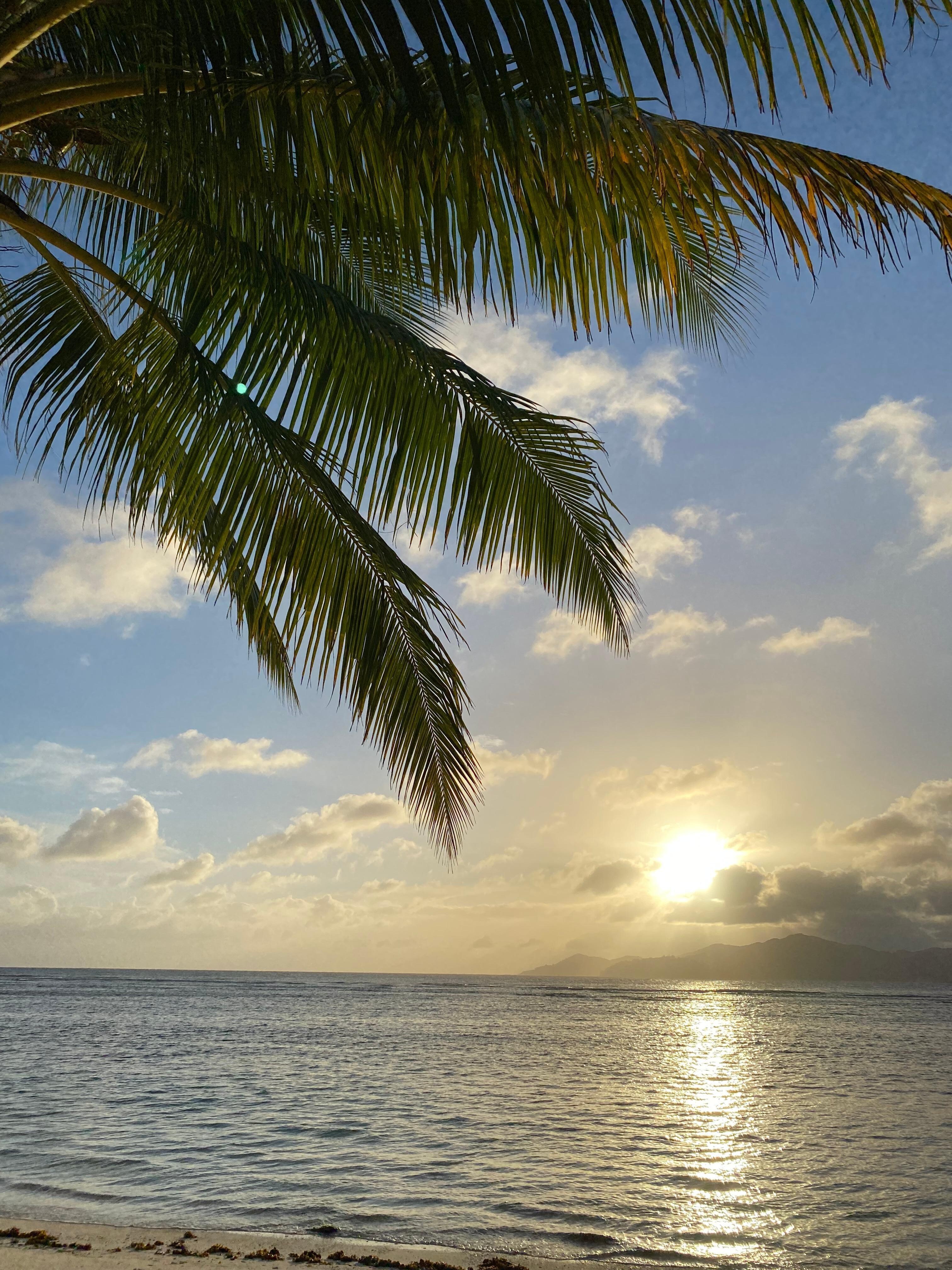 La Digue Island Lodge in La Digue, Seychelles | Expedia