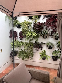 The garden