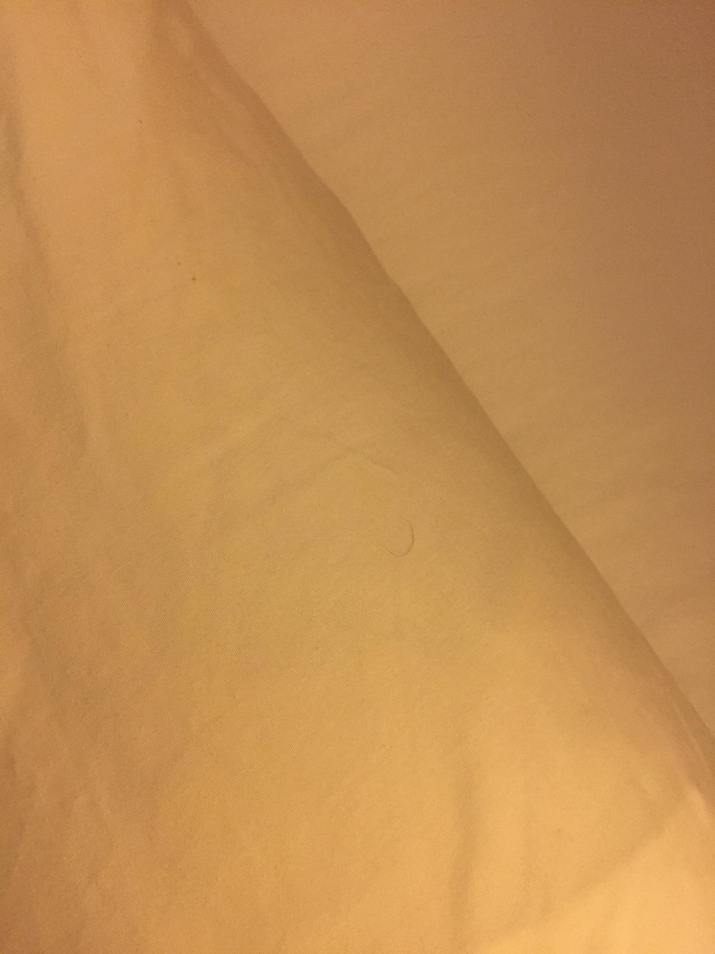 Long hair on pillow