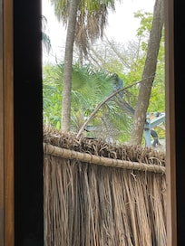Esto alado del baño y el baño sin cortinas