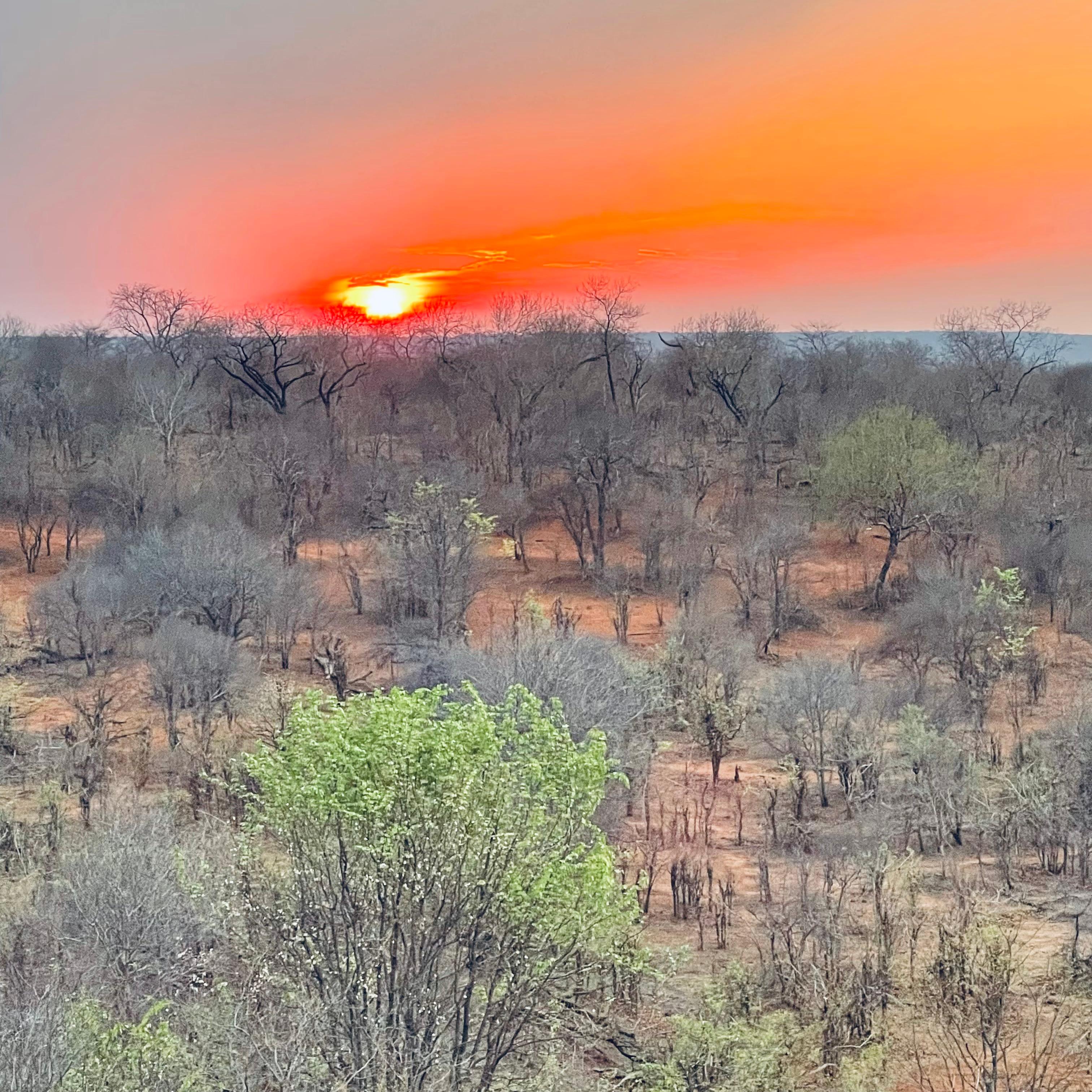 Sunset view from lodge