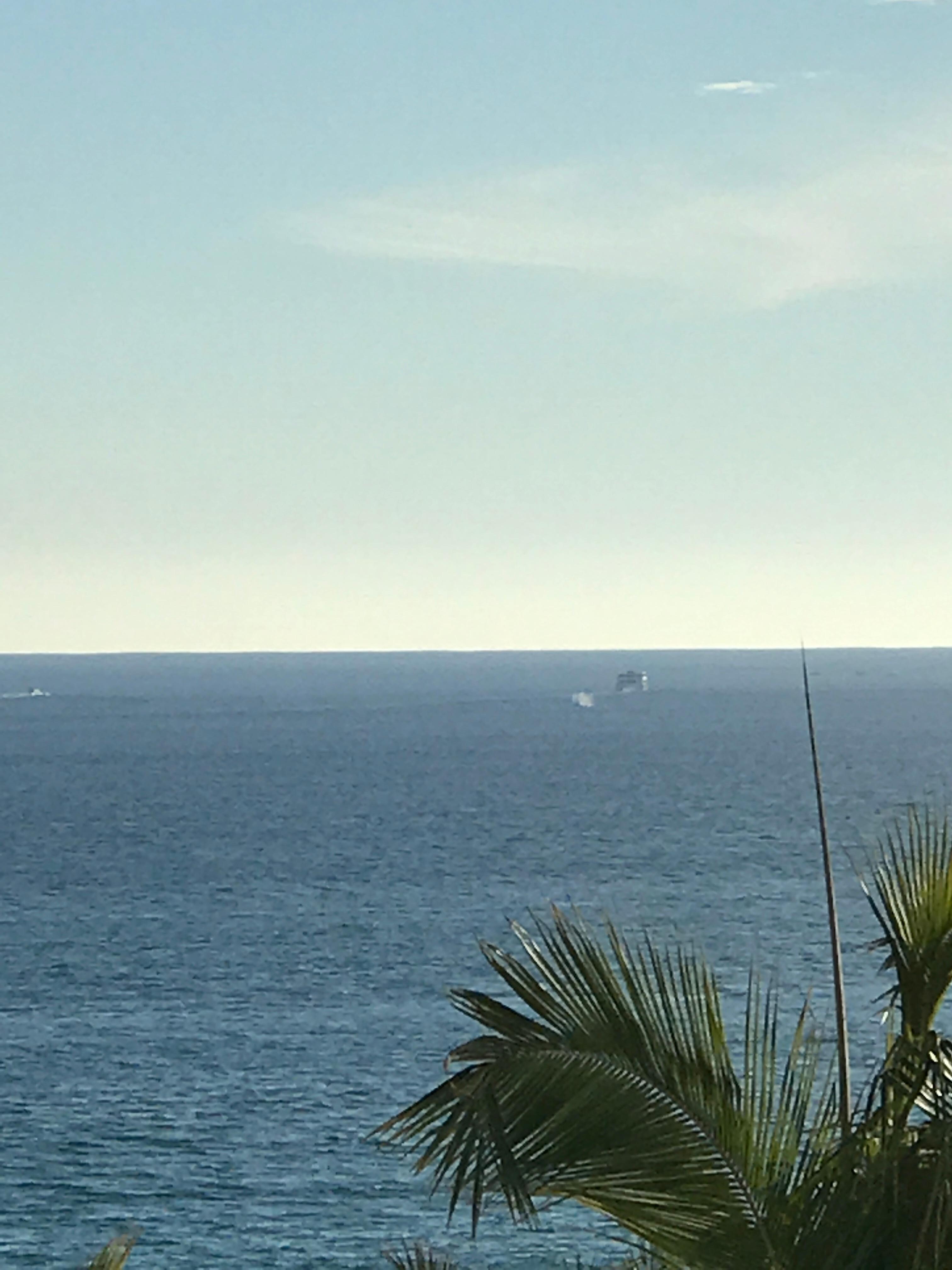 A view of the Pacfic a whale
