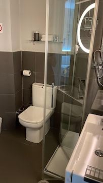 Private Bathroom with rainfall shower. Very clean and modern.