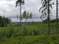 Det är så vackert i dessa trakter!