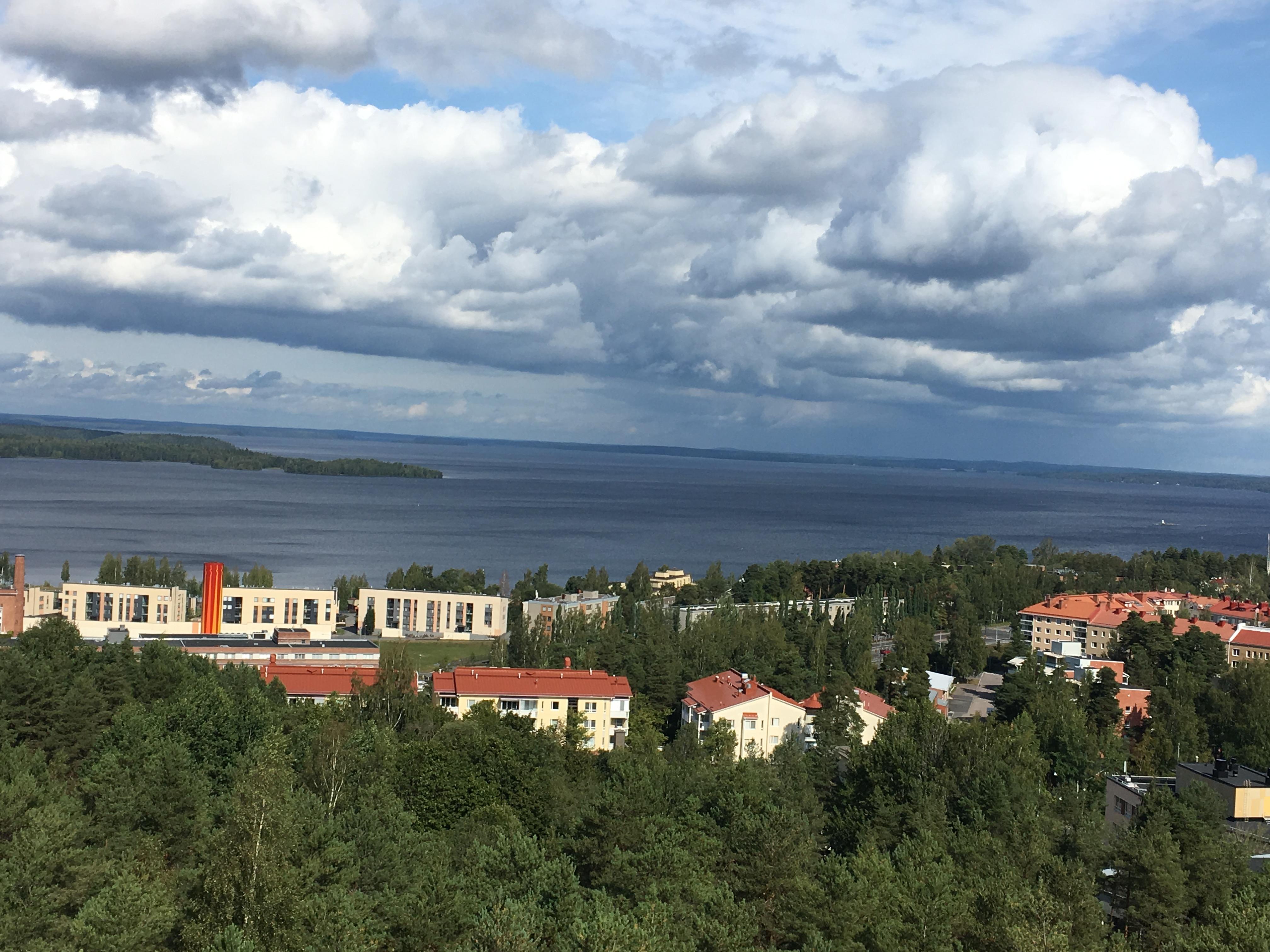 View of lake from look-out tower