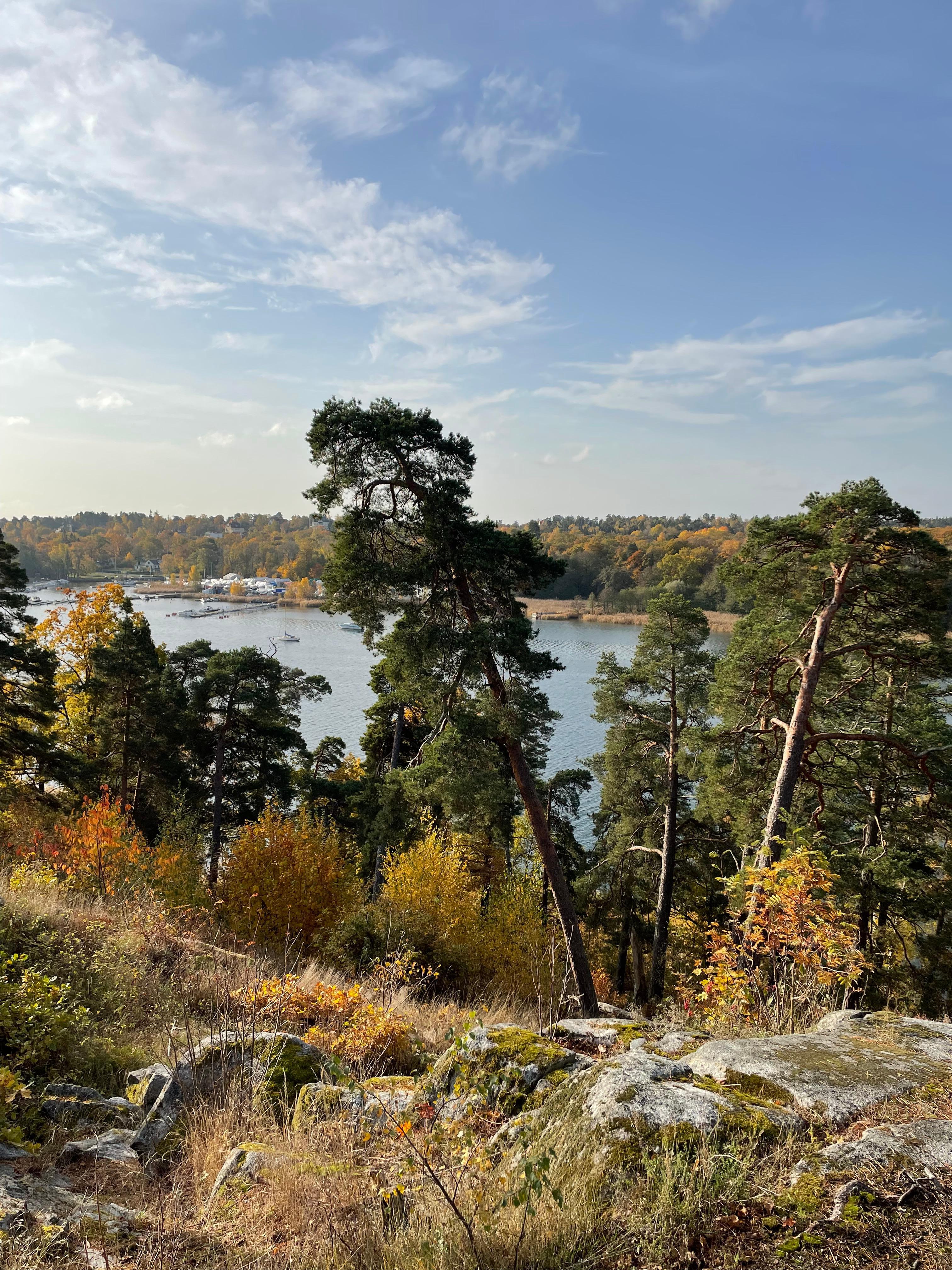 Utsikt mot vatten 