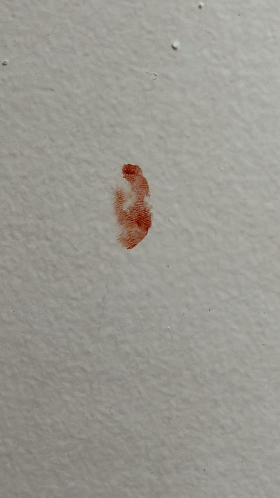 Sangre en las paredes