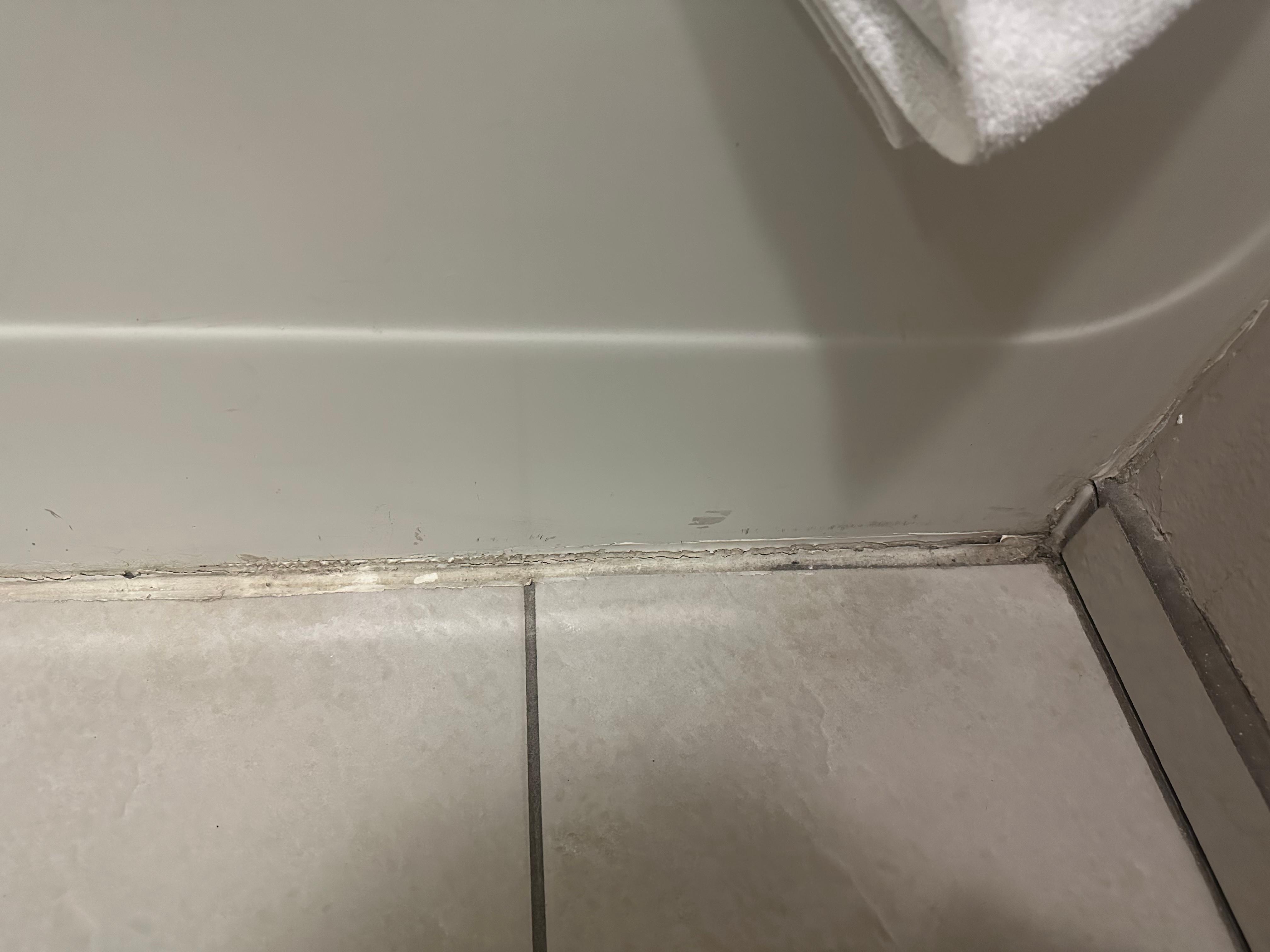 Moldy grout