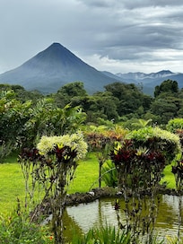 View from room 308- a junior suite for a great price!