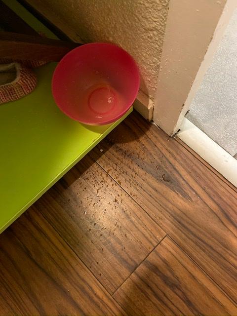 Bowl put under air conditioner unit to catch water drips. Also, abutted to wall to catch water running down & adjacent to light switch.