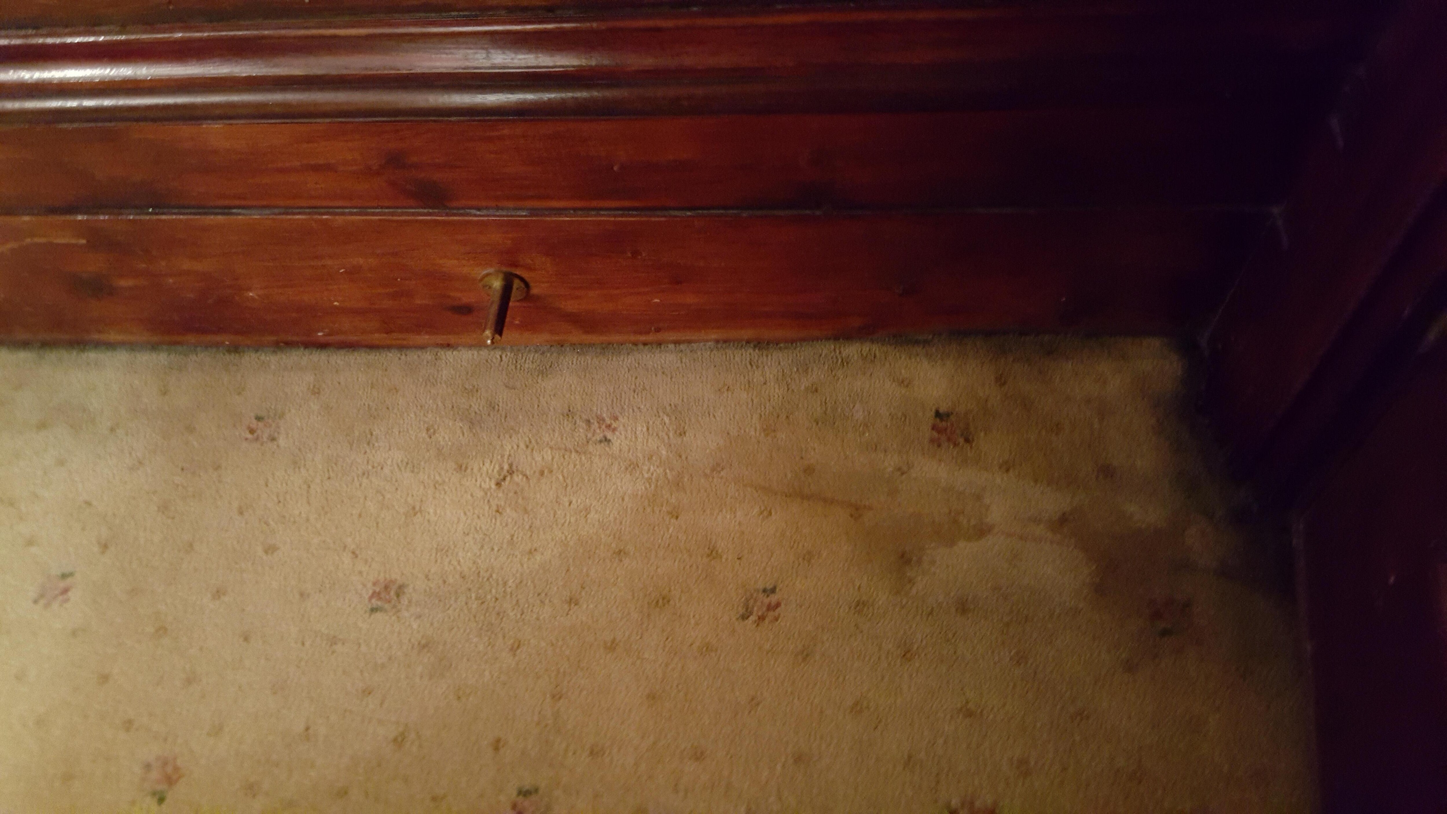 Picture of the carpet