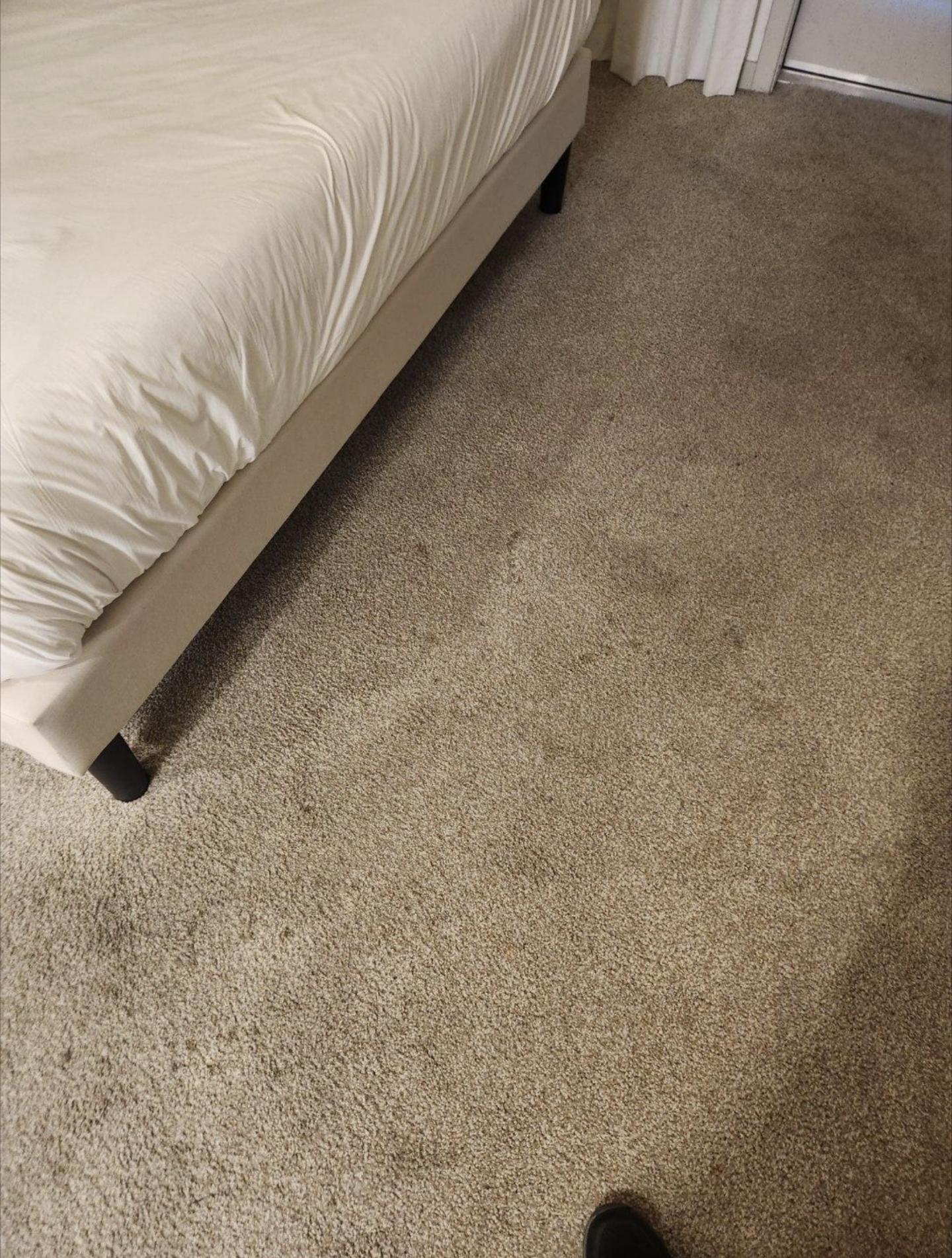 Carpet in the bedroom beside bed.
