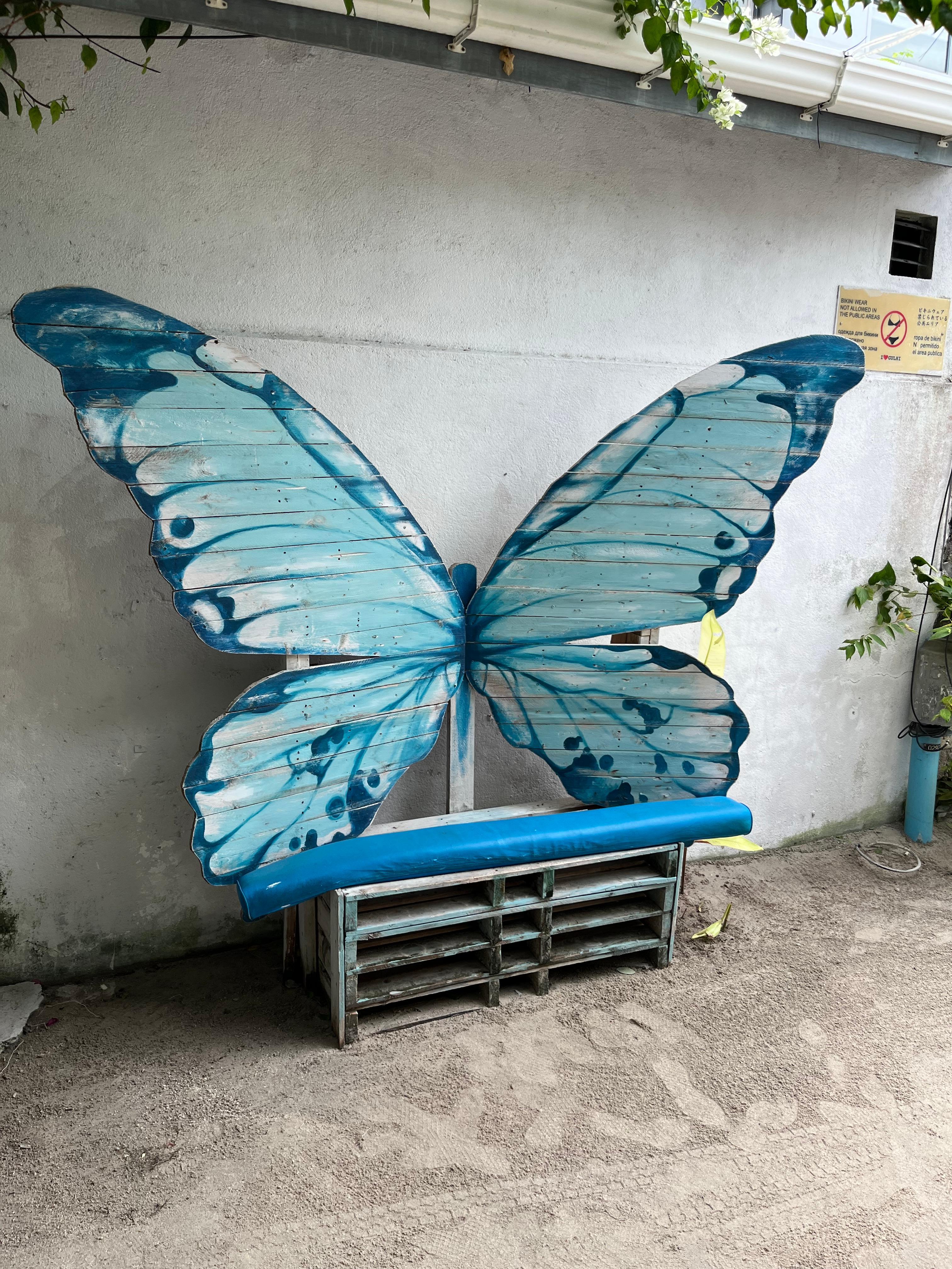 Bench and Butterfly 