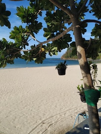 Utsikt från hotellets restaurang