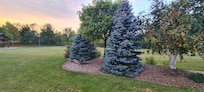 Part of the big garden