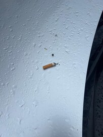 Lowlifes who stay here can’t even flick cigarettes on the ground and noticed this on my car when finally leaving this hotel today.